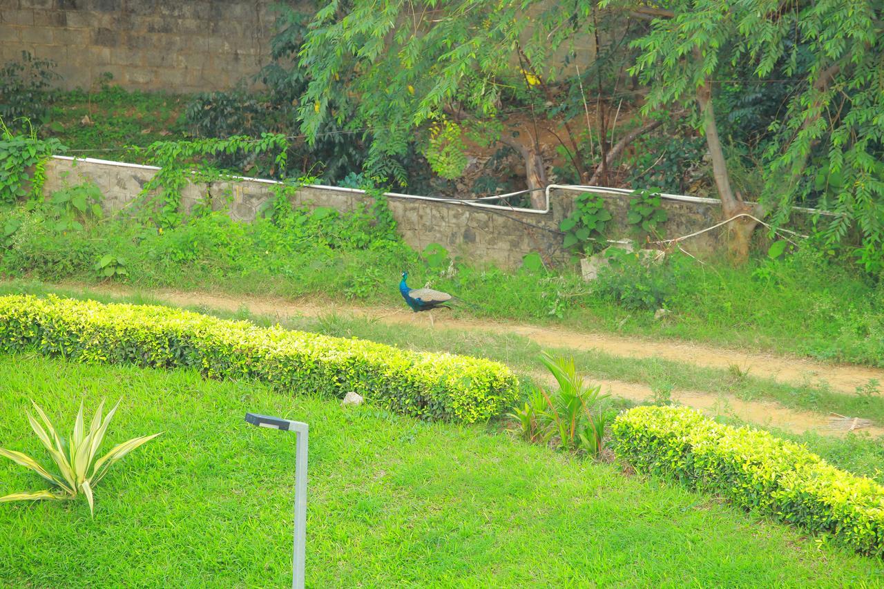 Five Falls Resort Kuttālam Extérieur photo